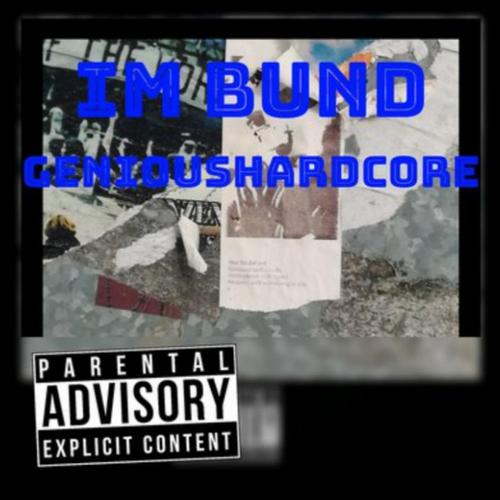 Im Bund cover