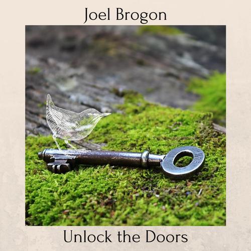 Unlock the Doors cover
