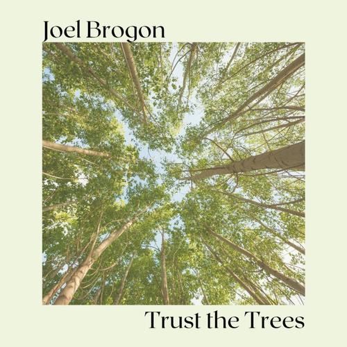 Trust the Trees cover