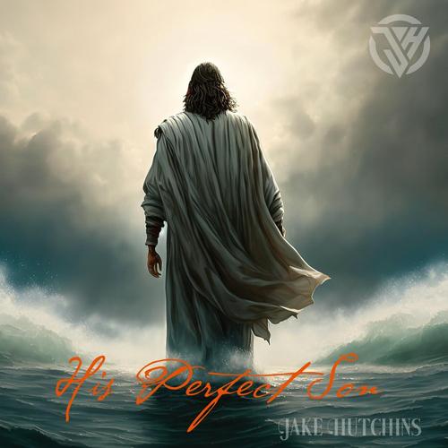 His Perfect Son cover