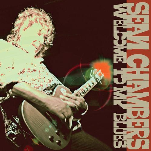 Welcome To My Blues cover