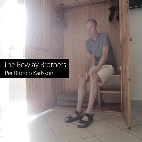 The Bewlay Brothers cover