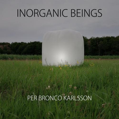 Inorganic Beings cover