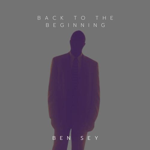 Back to the Beginning cover