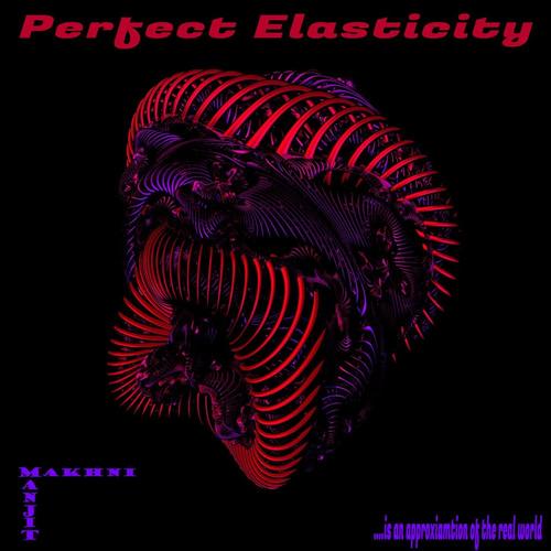 Perfect Eleasticity cover