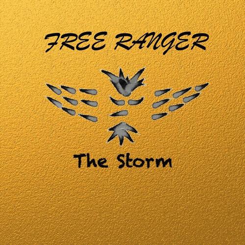 The Storm cover