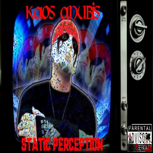 Static Perception cover