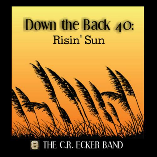 Down the Back 40: Risin' Sun cover