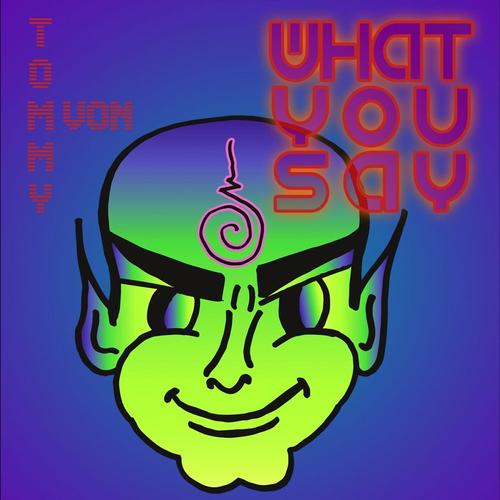 What You Say cover