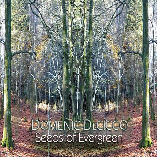 Seeds Of Evergreen cover