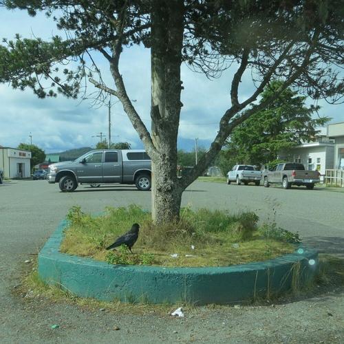 An audience of One cover