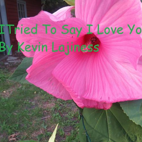 I Tried To Say I Love You cover