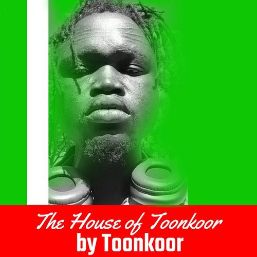 The House of Toonkoor cover