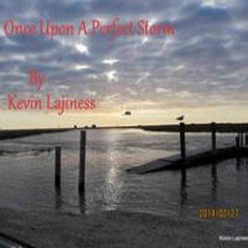 Once Upon A Perfect Storm cover
