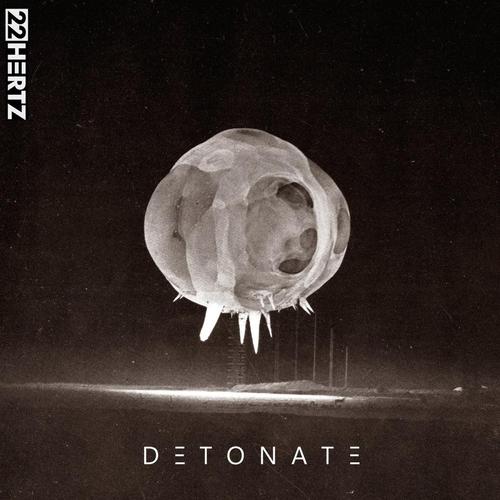 Detonate cover