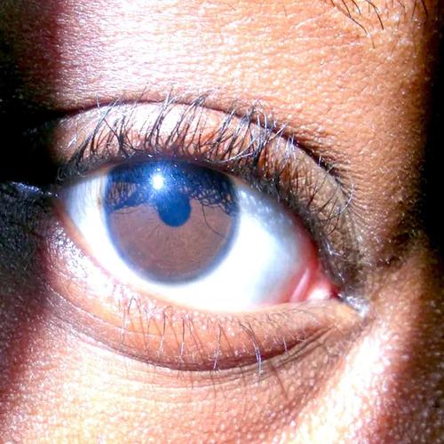 Kevin T Williams New Vision cover
