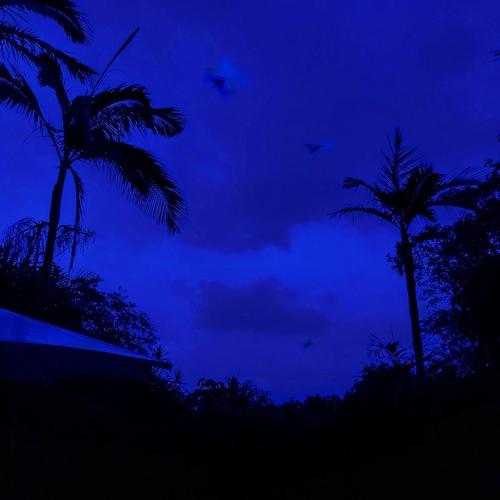 Hamilton Island Peace Dance DJ Relaxing Ramadan Vegan Vampire Die DJ R&R. cover